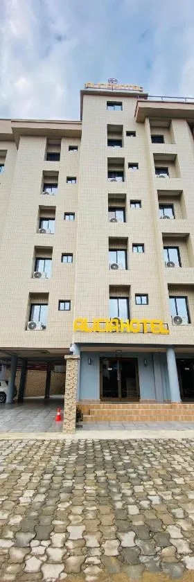 ALICIA HOTEL，位于杜阿拉的酒店
