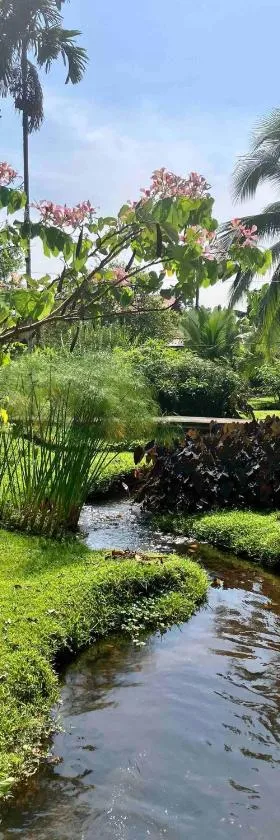 Casa Yami Lodge，位于福尔图纳的酒店