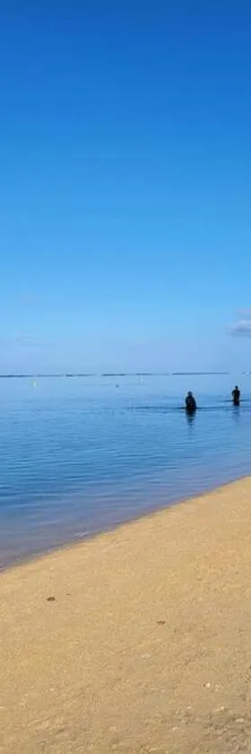T2 Bord de plage Saline les Bains，位于拉萨尔勒班的酒店