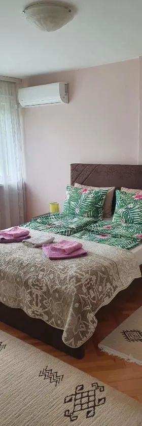 Apartman Centar，位于比耶利纳的酒店