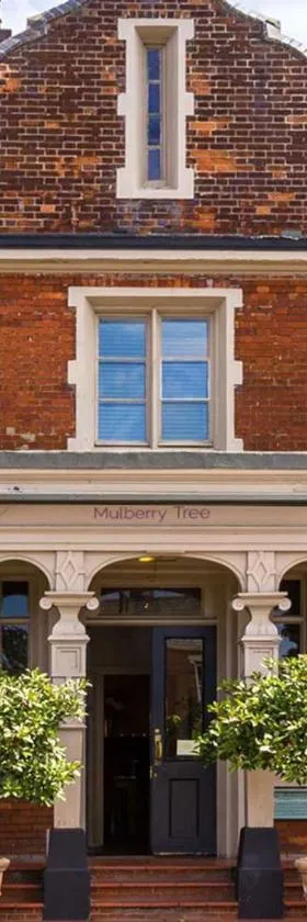 Mulberry Tree，位于阿特尔伯勒的酒店