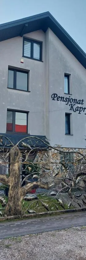 PENSJONAT KAPRYS，位于Jesionka的酒店