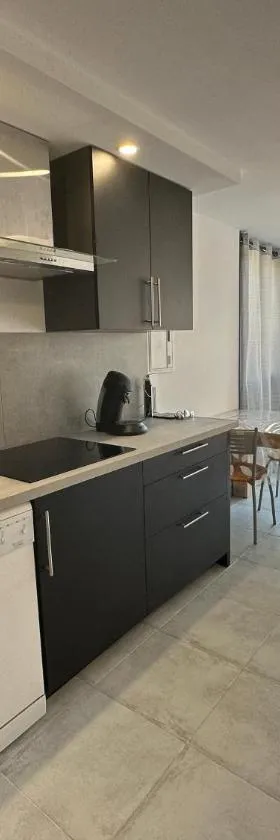 Appartement T2，位于圣西普里安的酒店