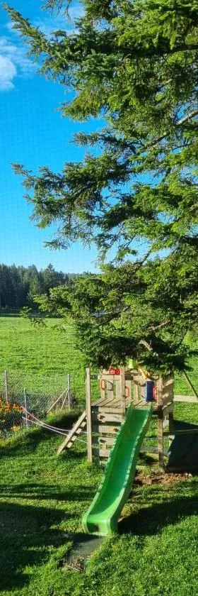 Studio à la ferme，位于La Brévine的酒店