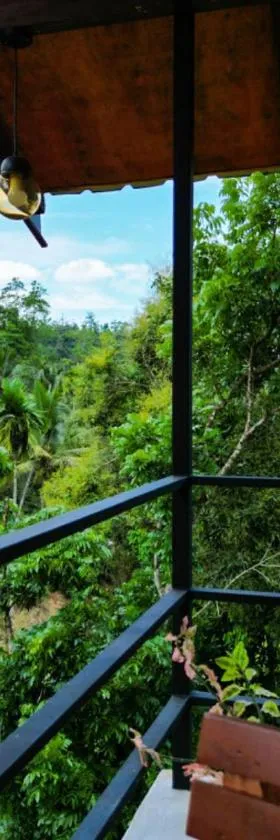 Sunshine Forest Lodge - Sinharaja，位于代尼耶耶的酒店