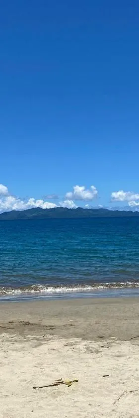 Orchid Island Bure，位于太平洋港的酒店