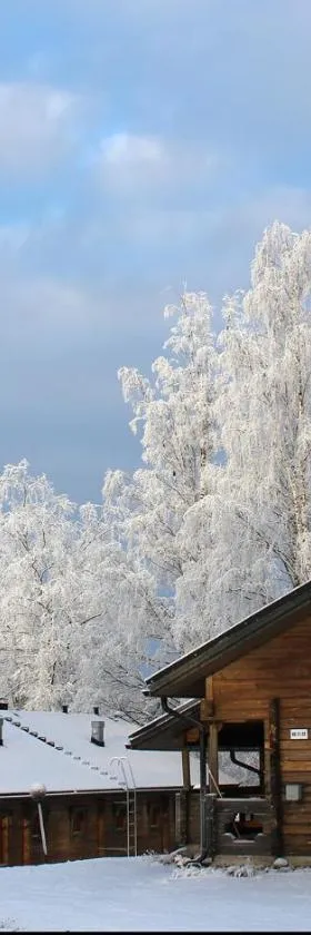 Koivula Cottages，位于耶姆赛的酒店