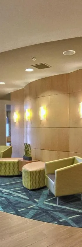 底特律南菲尔德春季山丘套房酒店，位于南菲尔德的酒店