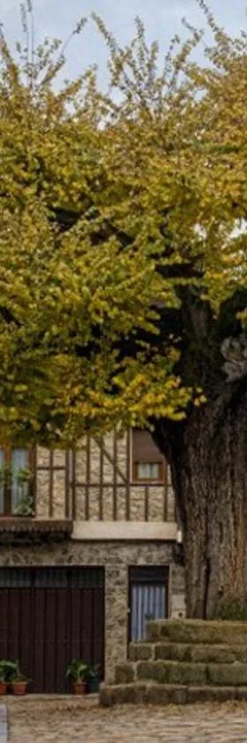 EL VIEJO OLMO，位于Herguijuela de la Sierra的酒店
