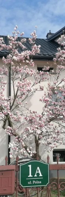 Magnolia，位于Sobolew的酒店