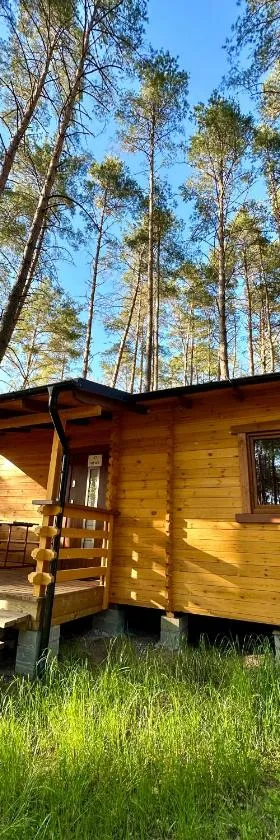 Ośrodek Wypoczynkowy Jeziornik，位于Borzechowo的酒店