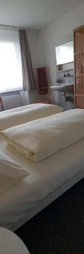 豪斯圣迈克尔酒店，位于Dozwil的酒店