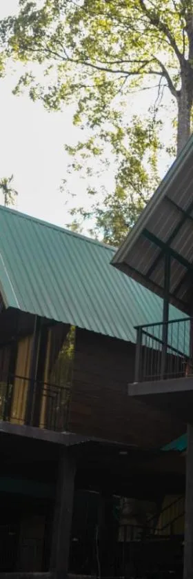 Eco Knuckles Holiday Lodge，位于康提的酒店