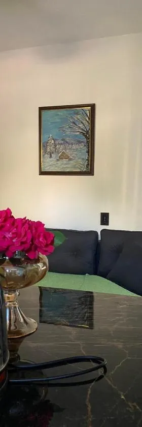 BT Apartments，位于斯特鲁米察的酒店