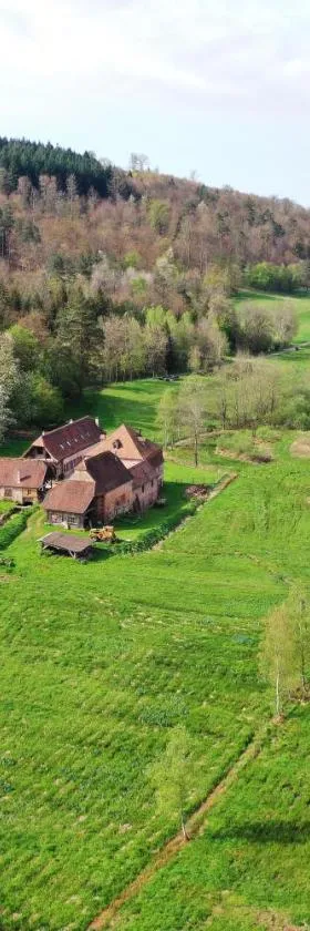 Maison d'hôtes de charme - Ancien moulin en pleine nature - La Paulusmühle，位于Soucht的酒店