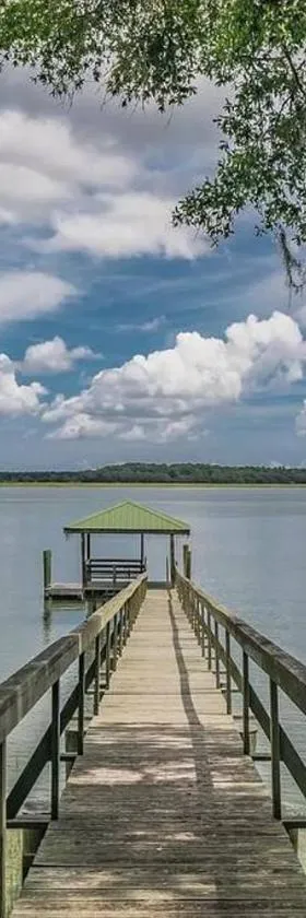 Waterfront! Private Dock! Cottage in the City!，位于博福特的酒店