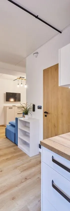 Aparthotel Rýbrcoul，位于特鲁特诺夫的酒店
