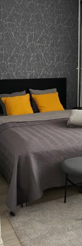 Hamina City Apartments，位于哈米纳的酒店