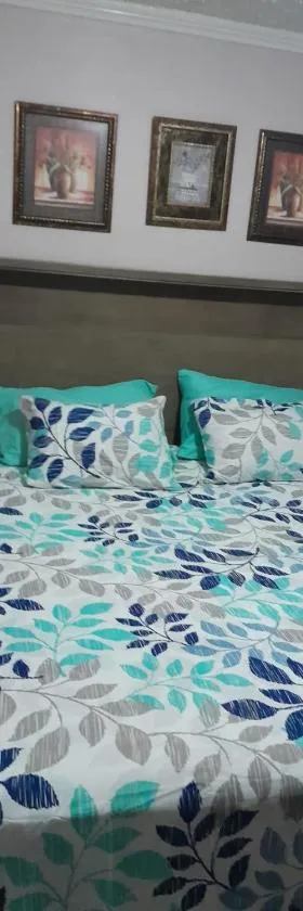 Shauna apartment，位于Charlton的酒店