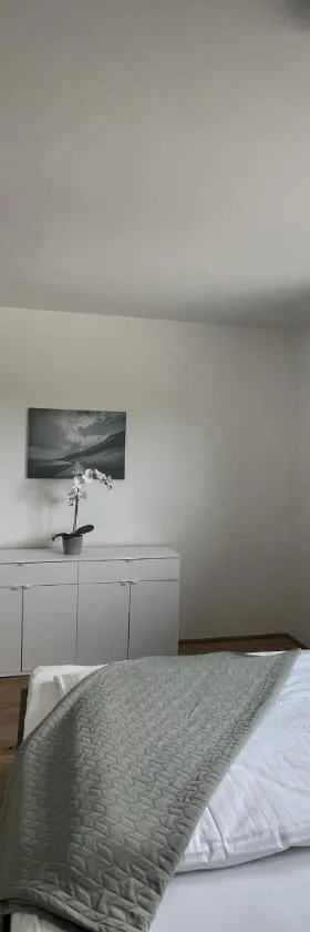 Studio Apartments St. Martin，位于Erdmannsdorf的酒店