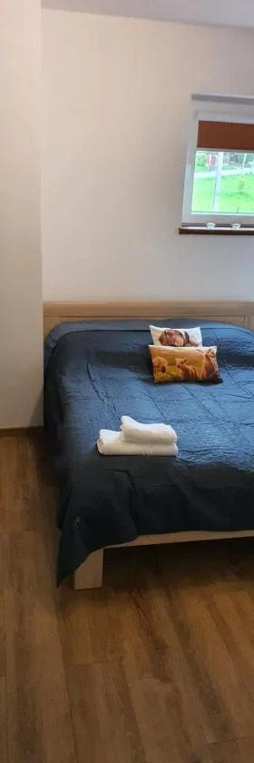 Apartament pod lasem，位于Tenczynek的酒店