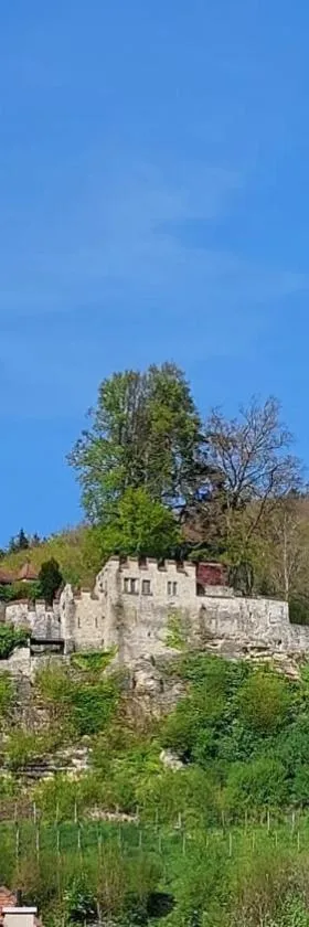 Zimmer-B&B Restaurant Wirtshaus zur Trostburg，位于特乌芬塞尔的酒店