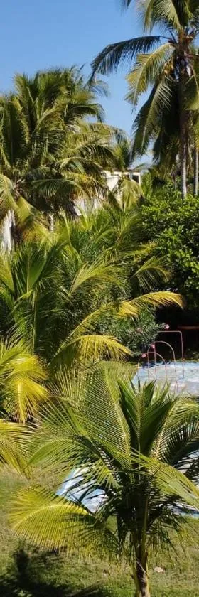 Coconut village，位于El Zapote的酒店
