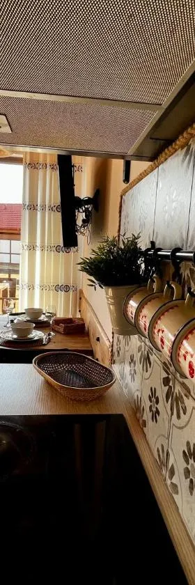 Dom nad jeziorem，位于Borowy Młyn的酒店