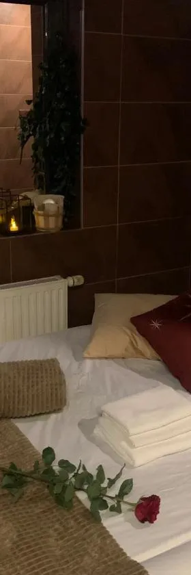 Refresh Club wellness Ostrava，位于Poruba的酒店