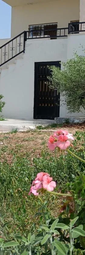 Rousan House，位于乌姆盖斯的酒店
