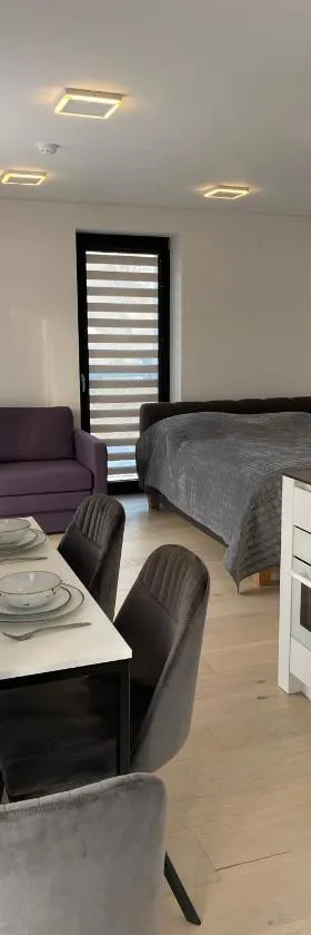 Ievos apartamentai，位于珀尔沃卡的酒店