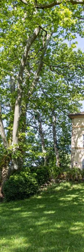 Château Mentone，位于Masseboeuf的酒店