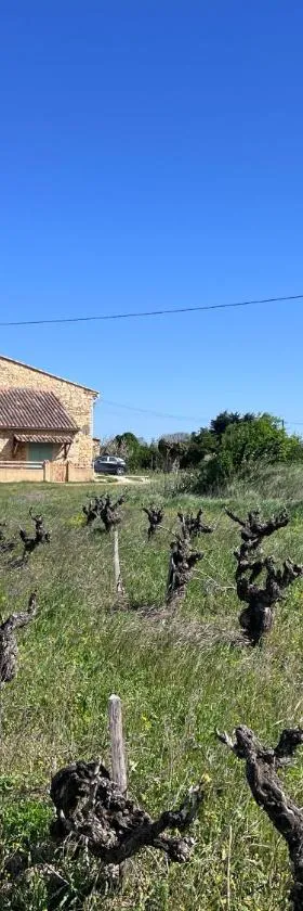 Gîte d'ysée au milieu des vignes，位于蓬圣埃斯普里的酒店