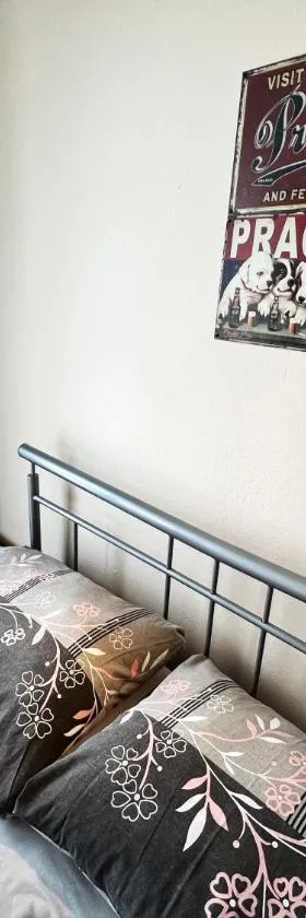 Hotel Penzion Rohožník，位于布拉格的酒店