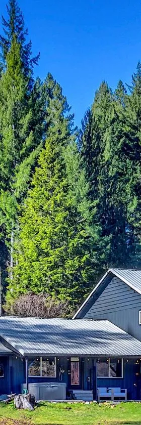 Waterfront Cabin at White Pass and Mount Rainier National Park，位于帕克伍德的酒店