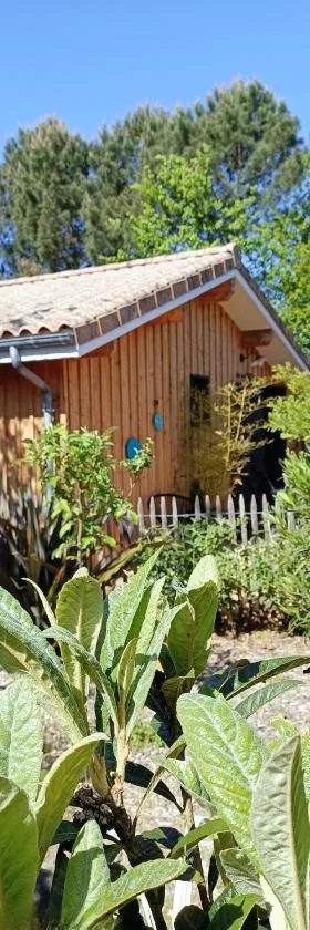 Maison de vacances 2 chambres plages lac à 600m proche Dune du Pilat Océan dans propriété privée，位于桑吉内的酒店