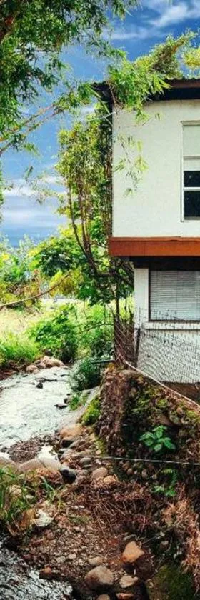 Rainforest Cabin in Escazu，位于Escazu的酒店
