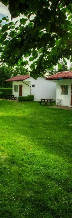 Agroturystyka Spokojna domek 5 osobowy，位于博格泽利卡的酒店
