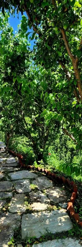 Navira Hills Laida - Banjar，位于本贾尔的酒店