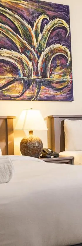 Morrison Hotel San Salvador，位于圣萨尔瓦多的酒店