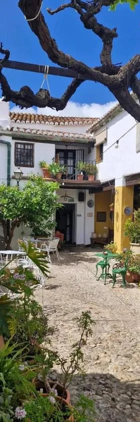 Hotel Rural Verde Oliva，位于Comares的酒店