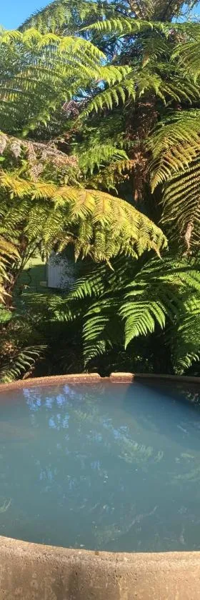 Whare&geothermal pool by lake Taupo，位于图朗伊的酒店