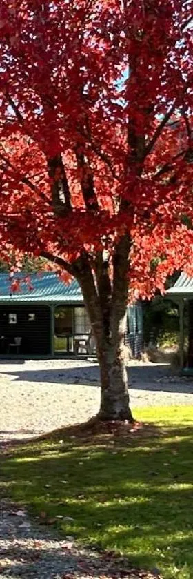 Kiwi Park Motels，位于默奇森的酒店