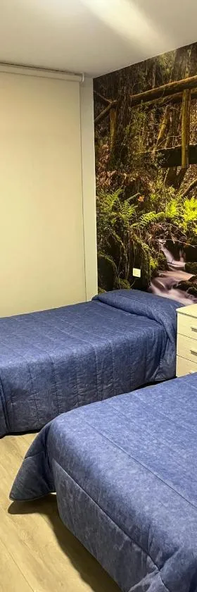 Hostal Carpinteiras，位于Rodeiro的酒店