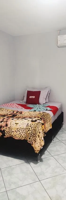 Hotel Ita Avenida，位于伊塔博拉伊的酒店