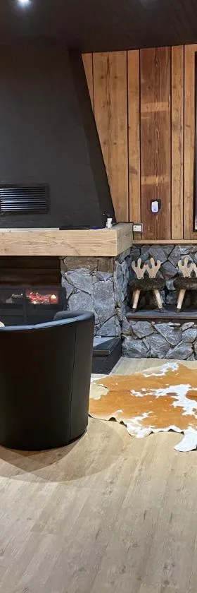 Chalet en forêt avec etang.，位于Saint-Étienne-lès-Remiremont的酒店