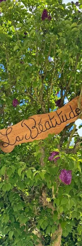 Beatitude62，位于福康贝格的酒店