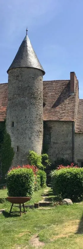 Chateau Mareuil，位于Brigueil-le-Chantre的酒店