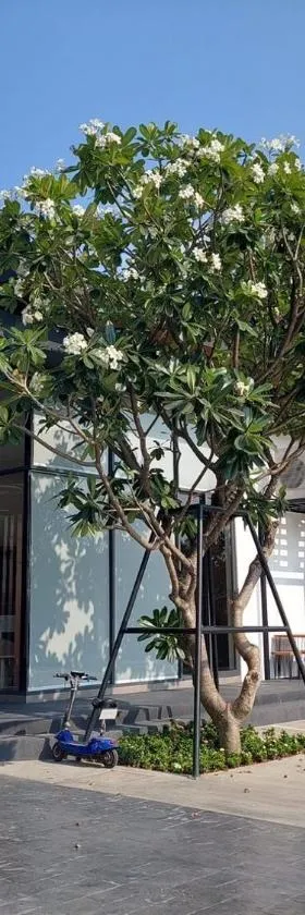 The RiverKwai Bridge Resort 2，位于Ban Chuk Kum的酒店