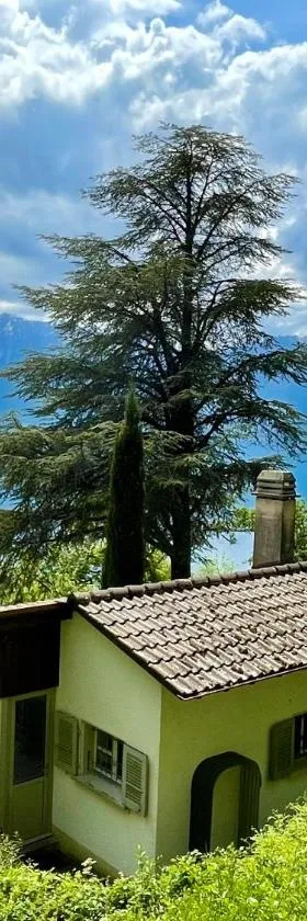 Lovely villa in Lavaux with unique view !，位于沙尔多纳的酒店